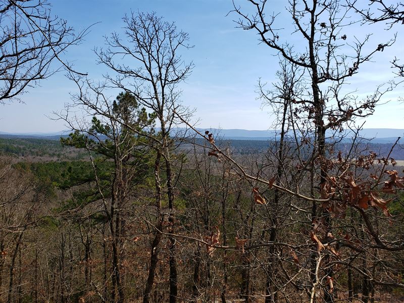Walker Mountain Land & Cabin Site : Hodgen : Le Flore County : Oklahoma