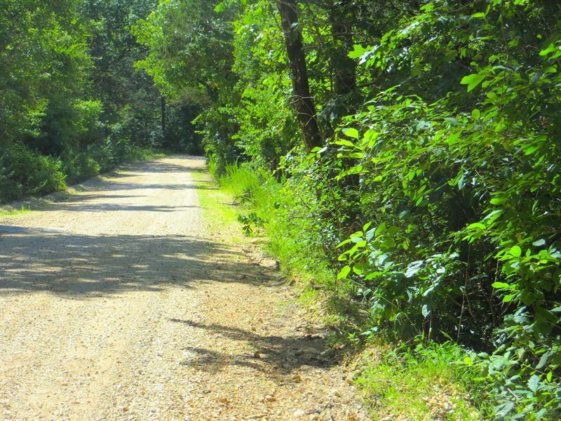 Land for Sale Near Lake Norfork Ark : Elizabeth : Fulton County : Arkansas