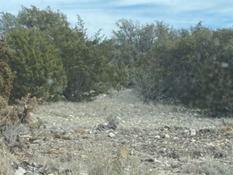 Oak Bend Ranch, Lot 48 : Sonora : Edwards County : Texas