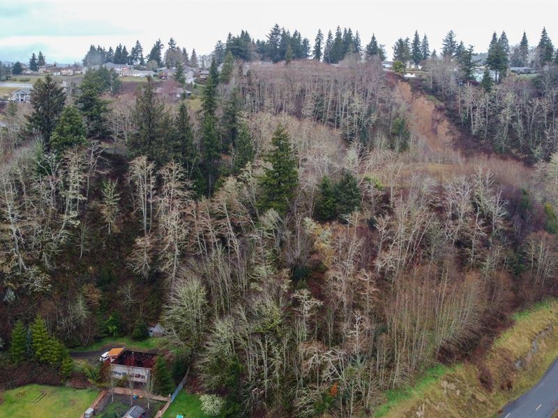 Unbeatable Panoramic Views : Hoquiam : Grays Harbor County : Washington