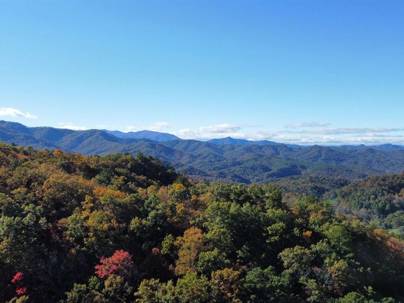 49 Acres in The Gorgeous Bryson : Bryson City : Swain County : North Carolina