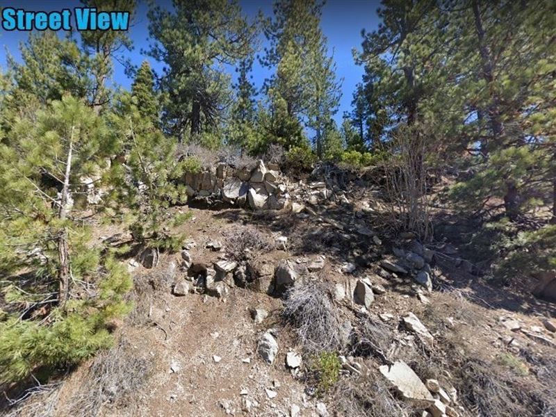 A Lot Near in Donner Lake : Truckee : Nevada County : California