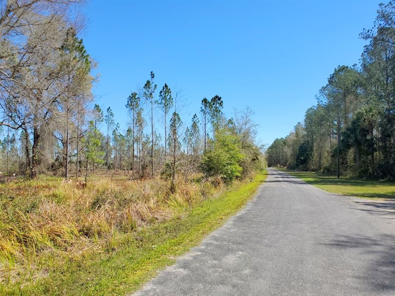 Gore's Landing Ranches Lot 4 : Fort McCoy : Marion County : Florida