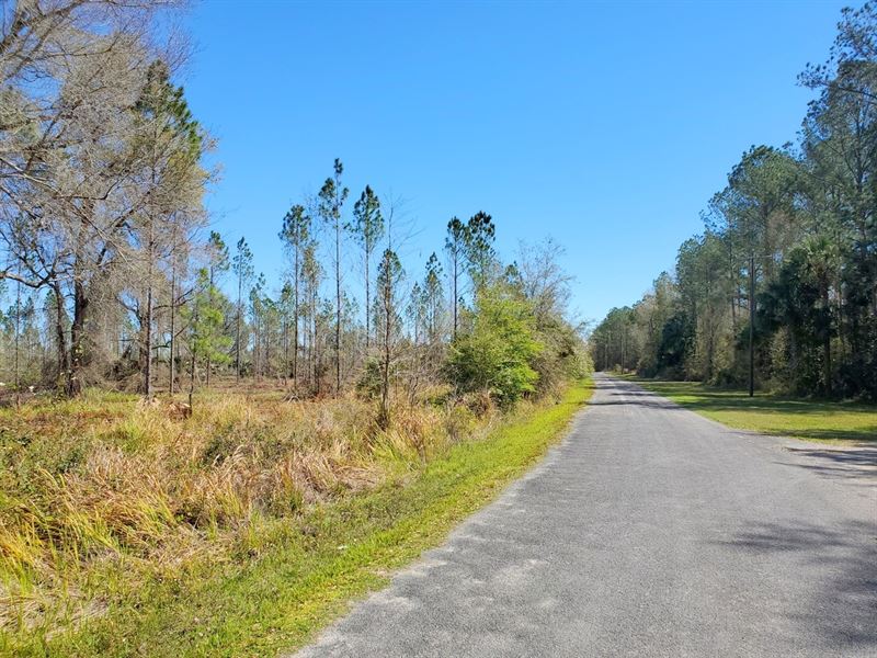 Gore's Landing Ranches Lot 7 : Fort McCoy : Marion County : Florida