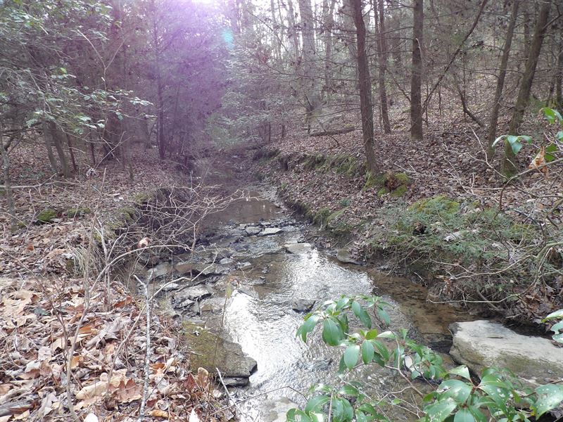 Creek, Level, Paved rd Frontage : Pikeville : Van Buren County : Tennessee