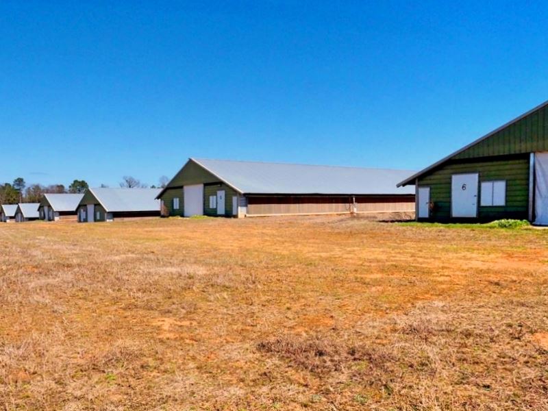 6 House Broiler Poultry Farm For Sa : Carthage : Leake County : Mississippi