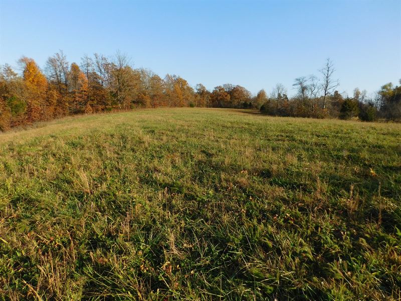 Land Bordering Ozark National : Boston : Madison County : Arkansas