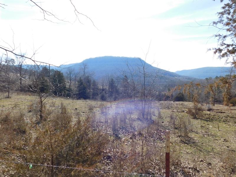 Newton County Shop Creek Land : Jasper : Newton County : Arkansas