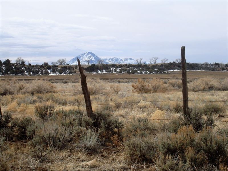 Land for Sale in Lewis Colorado : Lewis : Montezuma County : Colorado