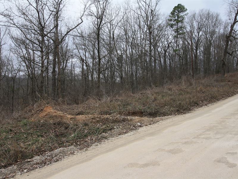 Wayne County MO Lot For Sale Land for Sale in Williamsville, Wayne