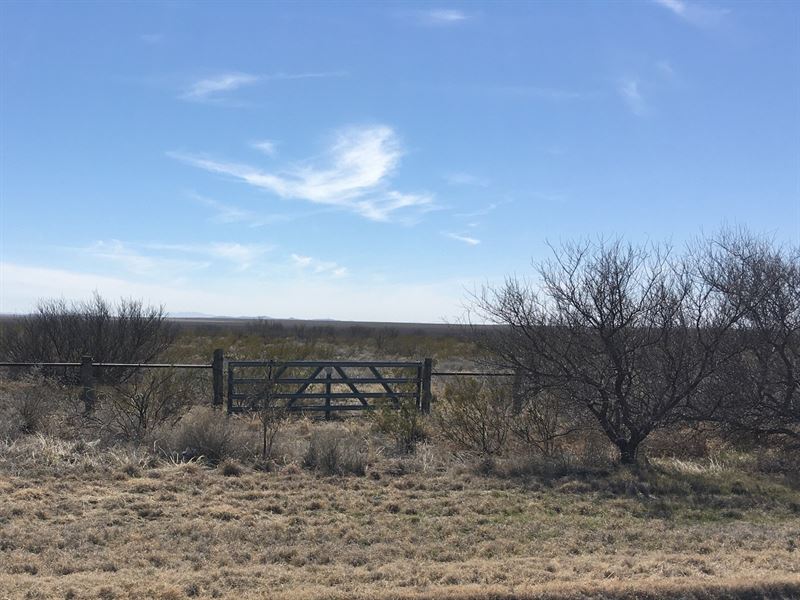 709 AC I-10 Graybill Ranch Fort : Fort Stockton : Pecos County : Texas