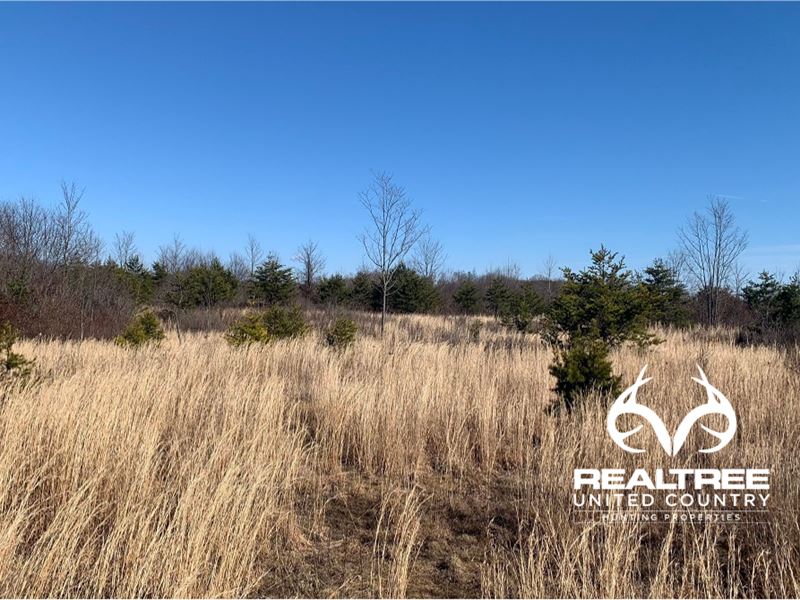 Affordable Ohio Land For Sale : Vinton : Gallia County : Ohio