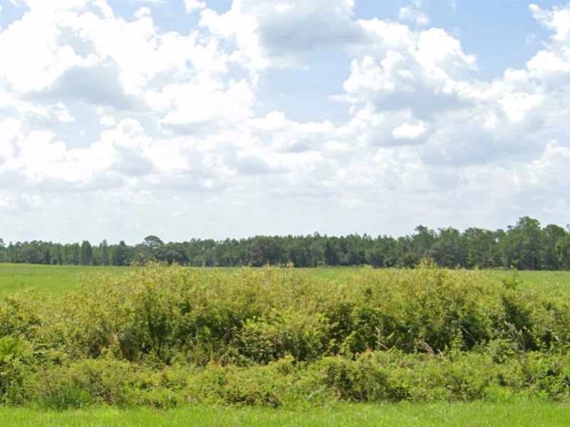 1.25 Cleared Acres Off Commonwealth : Polk City : Polk County : Florida