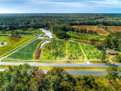 3+ Sumter Agricultural Land For Sale