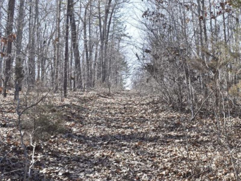 Treed 39.61 Ac Land for Sale in MO : Eminence : Shannon County : Missouri