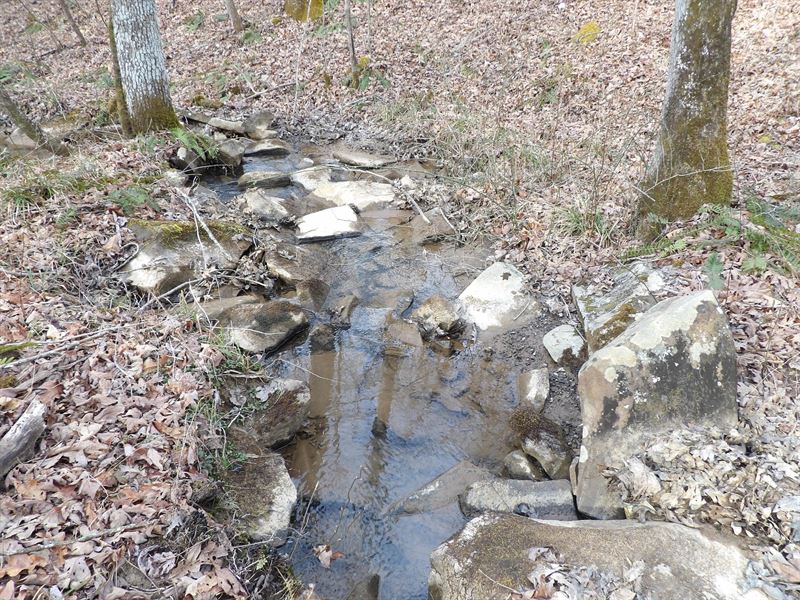 Creek, Near Entrance of State Park : Pikeville : Bledsoe County : Tennessee
