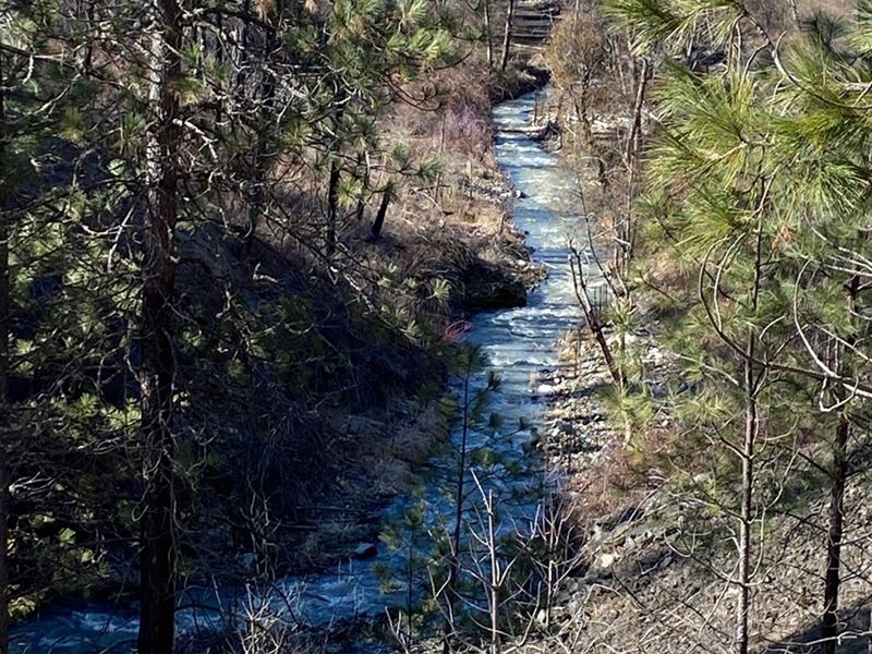 Mountain View 40 Acres, Creek Front : Kamiah : Idaho County : Idaho