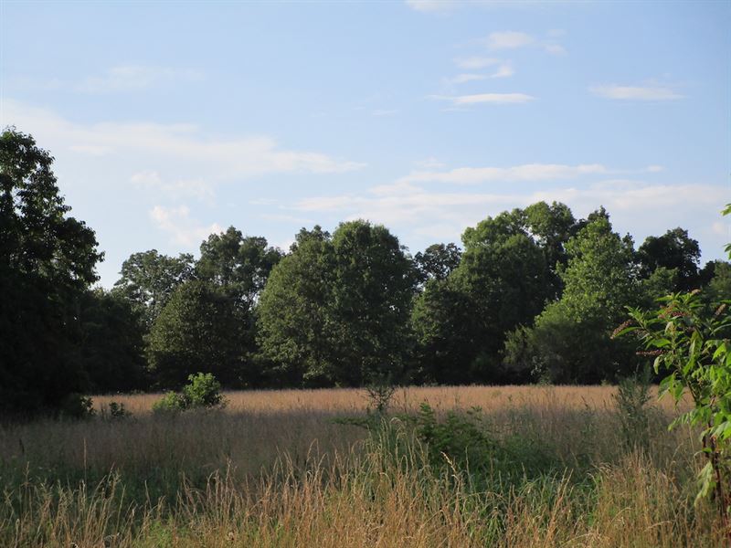 Hobby Farm for Sale in Southern MO : Mountain View : Howell County : Missouri