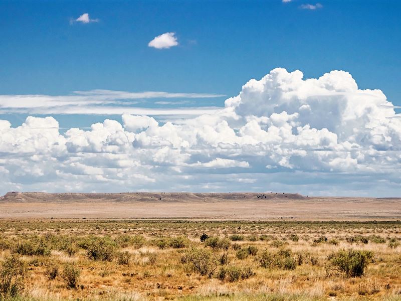 15 Ac Unrestricted Colorado Ranch : Model : Las Animas County : Colorado