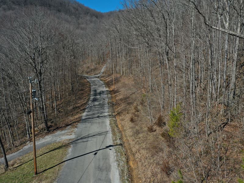 Timbered Lot in Fentress : Jamestown : Fentress County : Tennessee