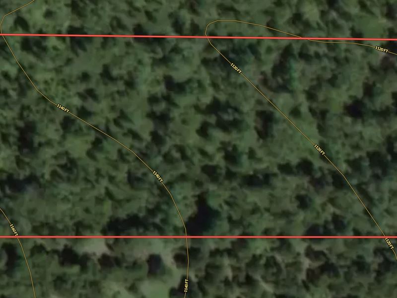 Wooded Land for Sale in Southern MO : Mountain View : Howell County : Missouri