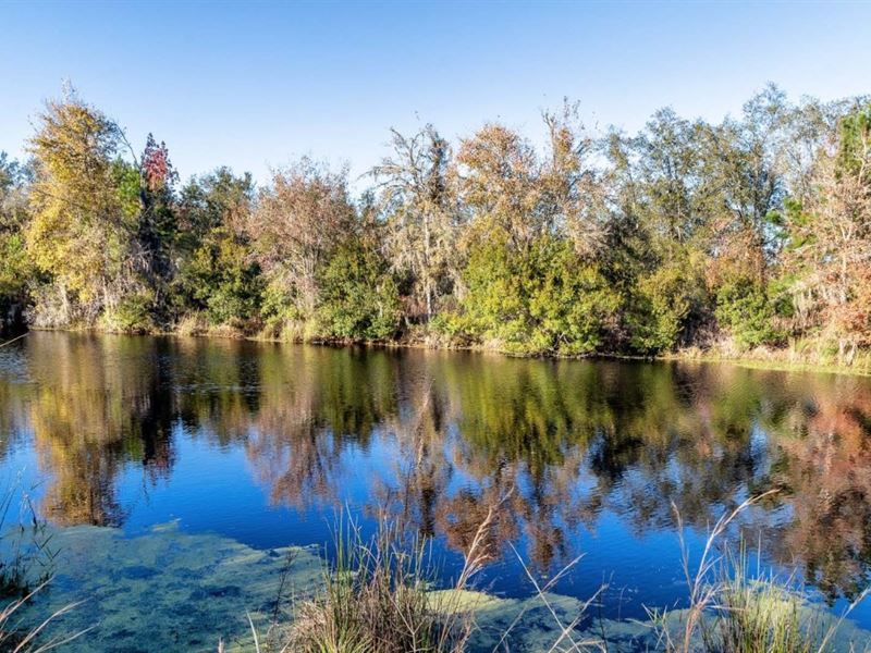 Own Fin & Large Pond, 20 AC : Jasper : Hamilton County : Florida