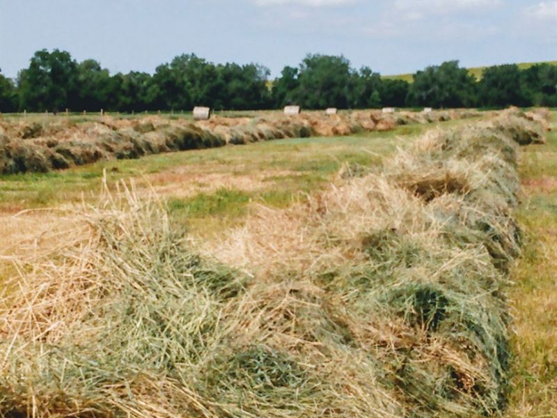 Nebraska Hard Grass Ranch : Chadron : Dawes County : Nebraska