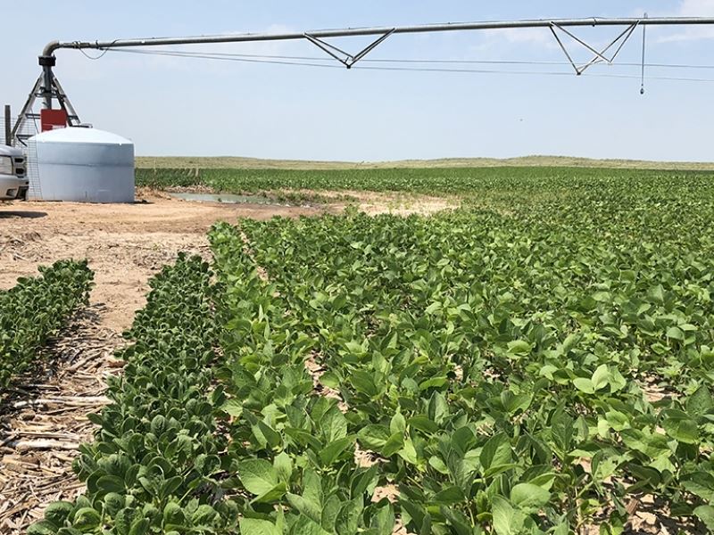 2,560 Acres in Benkelman, Nebraska : Benkelman : Dundy County : Nebraska
