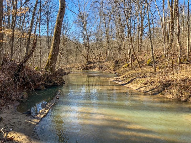Harris Cemetery Rd, 272 Acres, WA : Cutler : Washington County : Ohio