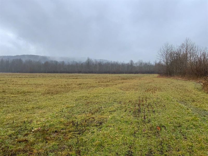 Pine Top Rd, 21 Acres, Pike Count : Bainbridge : Pike County : Ohio