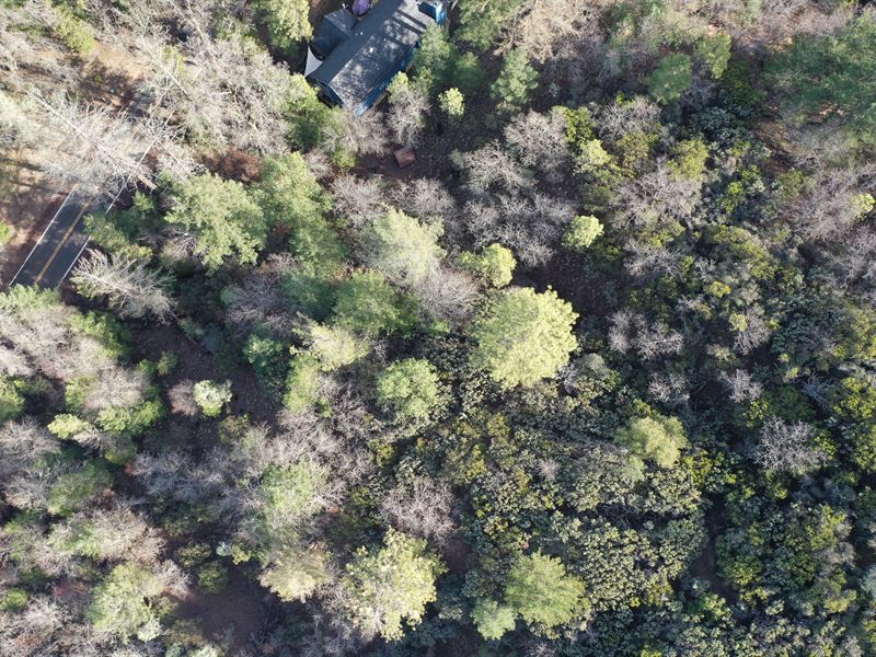 Trees, Wineries, Plus Lake Nearby : Loch Lomond : Lake County : California