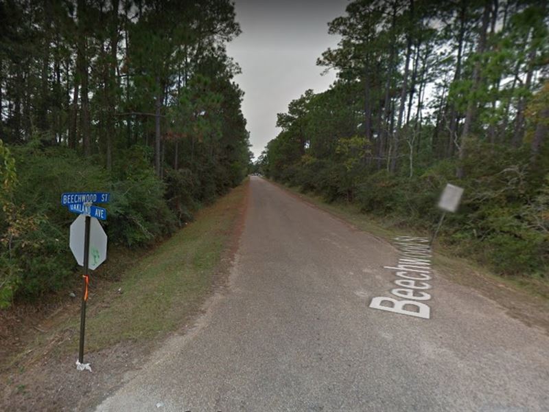 Exquisite Timber Ridge Private : Pass Christian : Harrison County : Mississippi