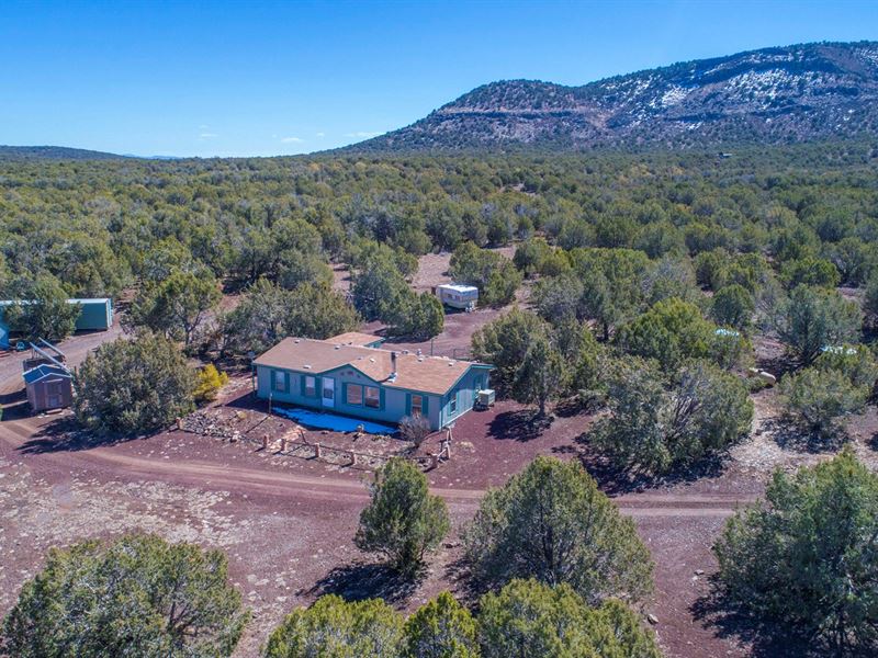 Mountain Home Hunting, Over 40 : Seligman : Coconino County : Arizona