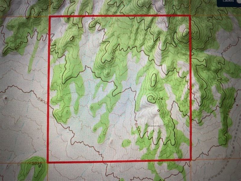 Hunting Property North of Wells NV : Wells : Elko County : Nevada