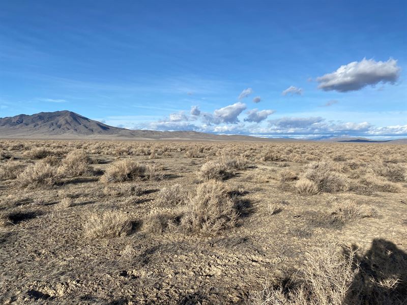 Multiple Parcels Winnemucca NV Land for Sale in Winnemucca, Humboldt