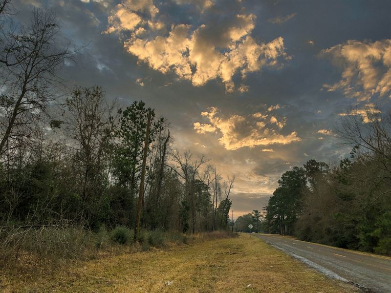 3 Acres, B3 Silsbee Stake : Silsbee : Hardin County : Texas