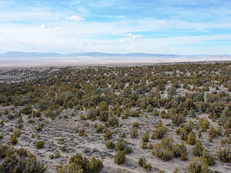 Superb and Spacious Lot : Wells : Elko County : Nevada