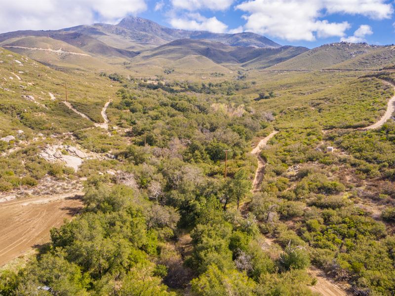 25+/- Acre Agricultural Opportunity : Julian : San Diego County : California
