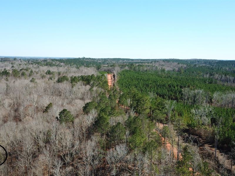 North Perry Farm : North Perry : Perry County : Alabama