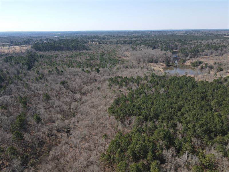 Rural Property for Sale in Texas : Atlanta : Cass County : Texas