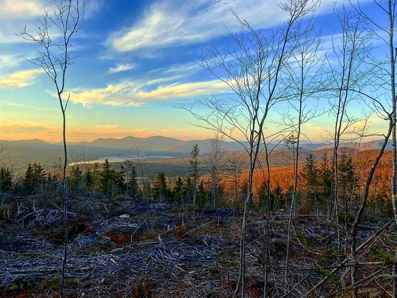 Maine Hunting Recreational Land : Perkins Town : Franklin County : Maine