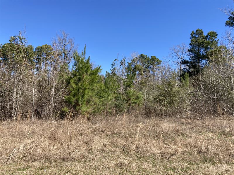 Perfect Lot for Lake Recreation : Port Adventure : Trinity County : Texas