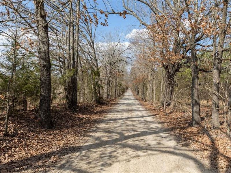 5.58 Acre in Red River County, TX : Annona : Red River County : Texas