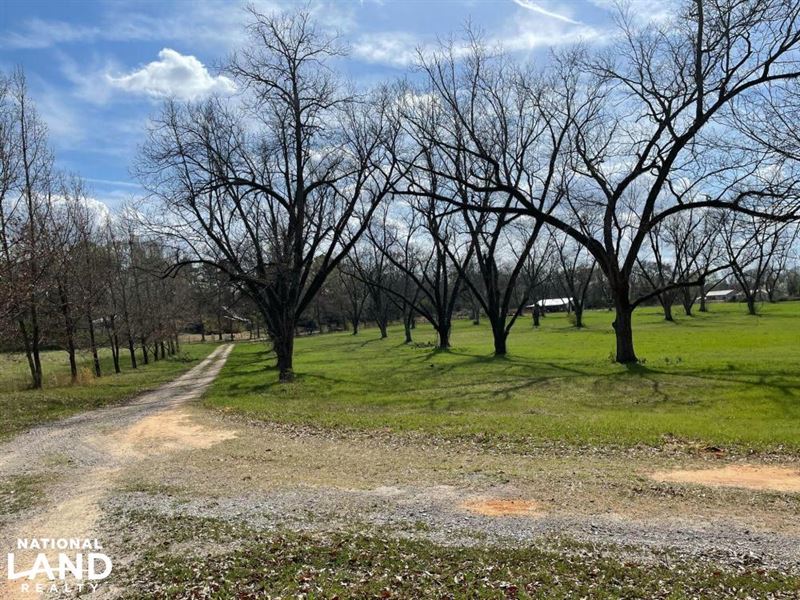 Old Greensboro Road Tuscaloosa : Tuscaloosa : Tuscaloosa County : Alabama