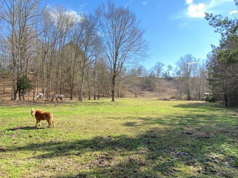 34.8 Acres with A Home in Attala Co : Sallis : Attala County : Mississippi