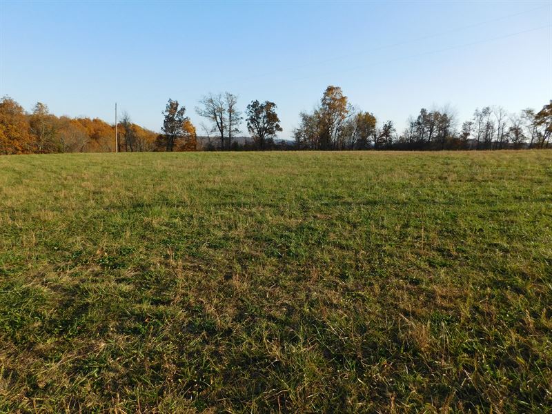 Land Bordering Ozark National : Boston : Madison County : Arkansas
