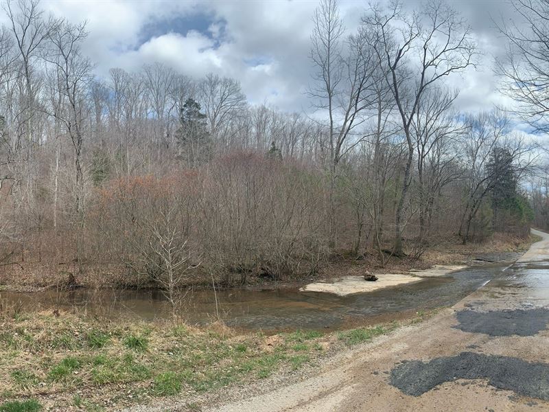 Acreage Creek Hohenwald, Tennessee : Hohenwald : Lewis County : Tennessee