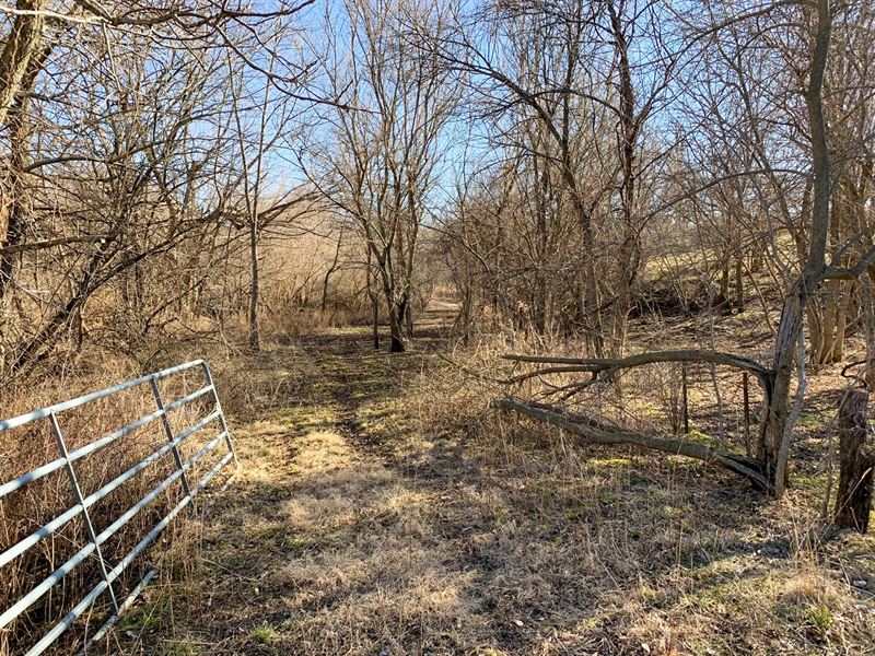 Heavily Timbered Hunting Tract : Albia : Monroe County : Iowa
