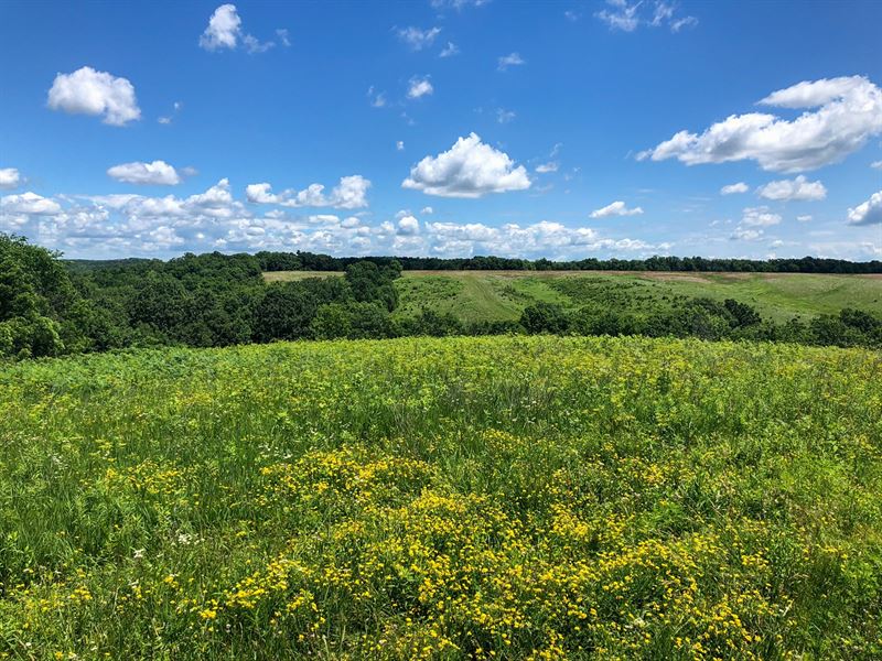 Lucas County Hunting & Recreational : Chariton : Lucas County : Iowa