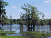 Spikes Tract : Montgomery : Grant Parish : Louisiana